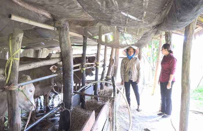 Mỹ Xuyên: Hội viên Nông dân xã Ngọc Đông nâng cao đời sống  